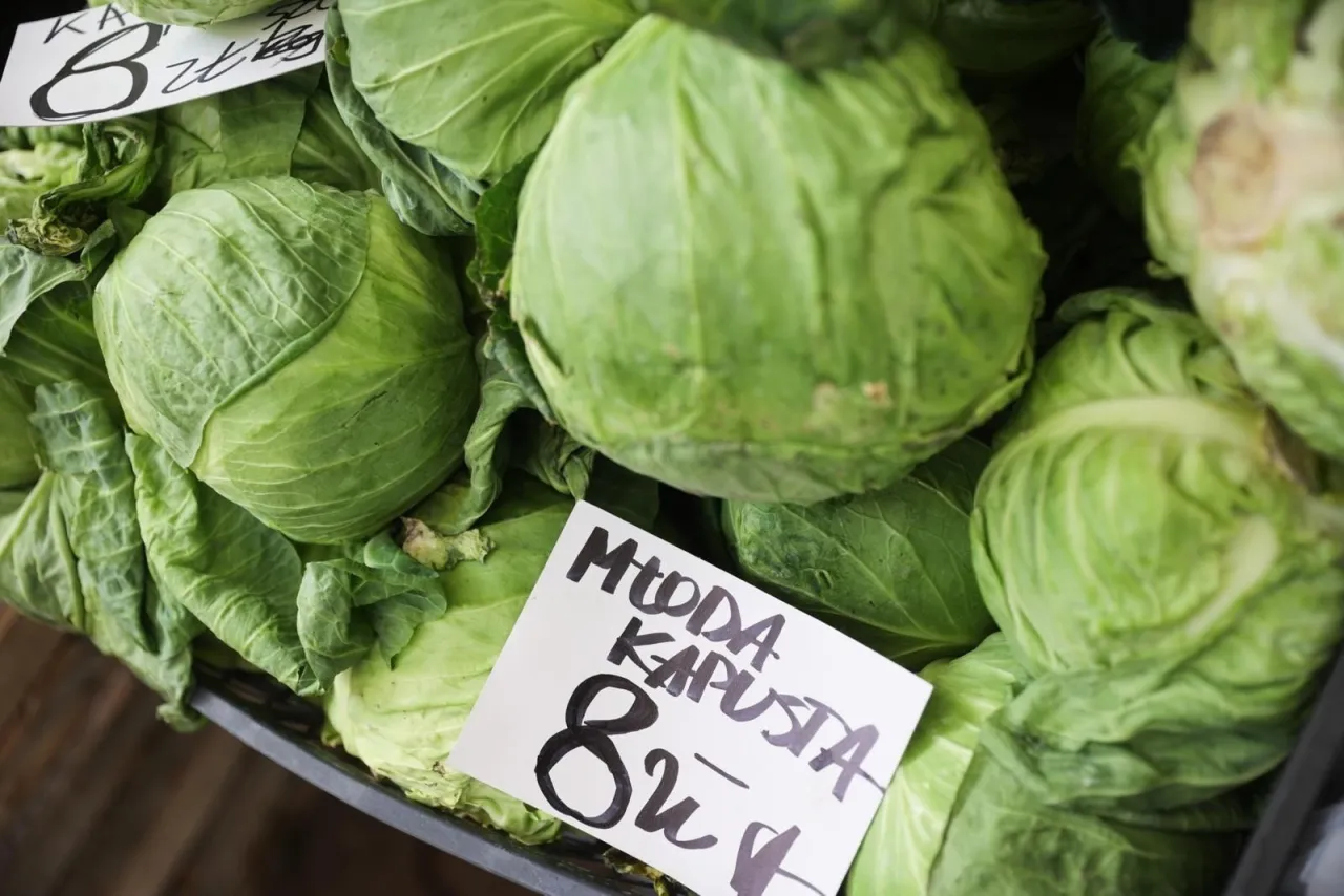 świeża biała kapusta na straganie