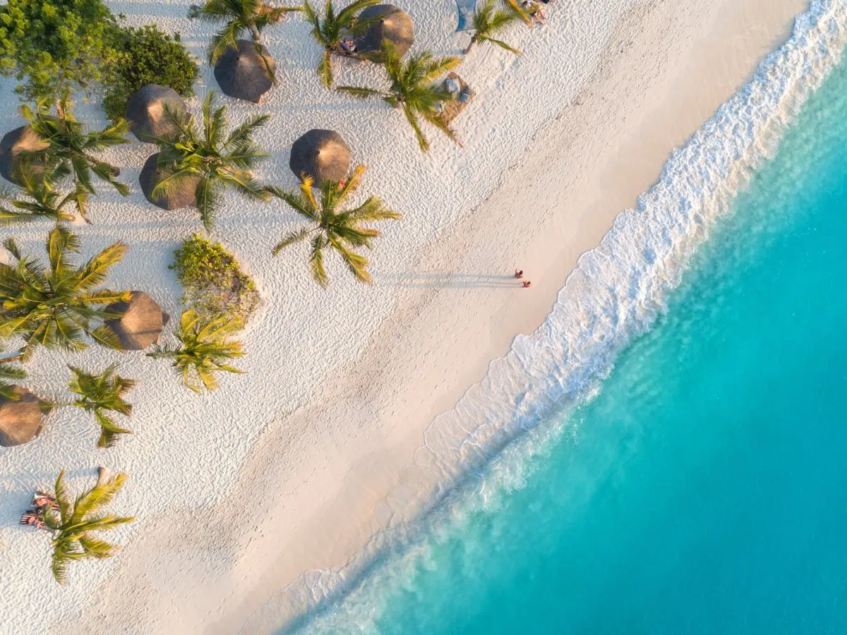 rajskie wyspy turkusowa woda biały piasek palmy