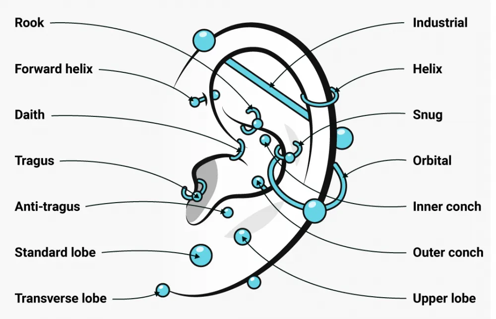 Mapa przekłuć ucha z nazwami