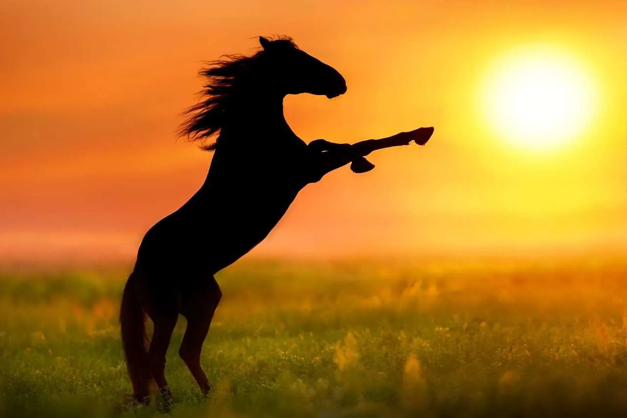 Dziki koń galopujący na wolności