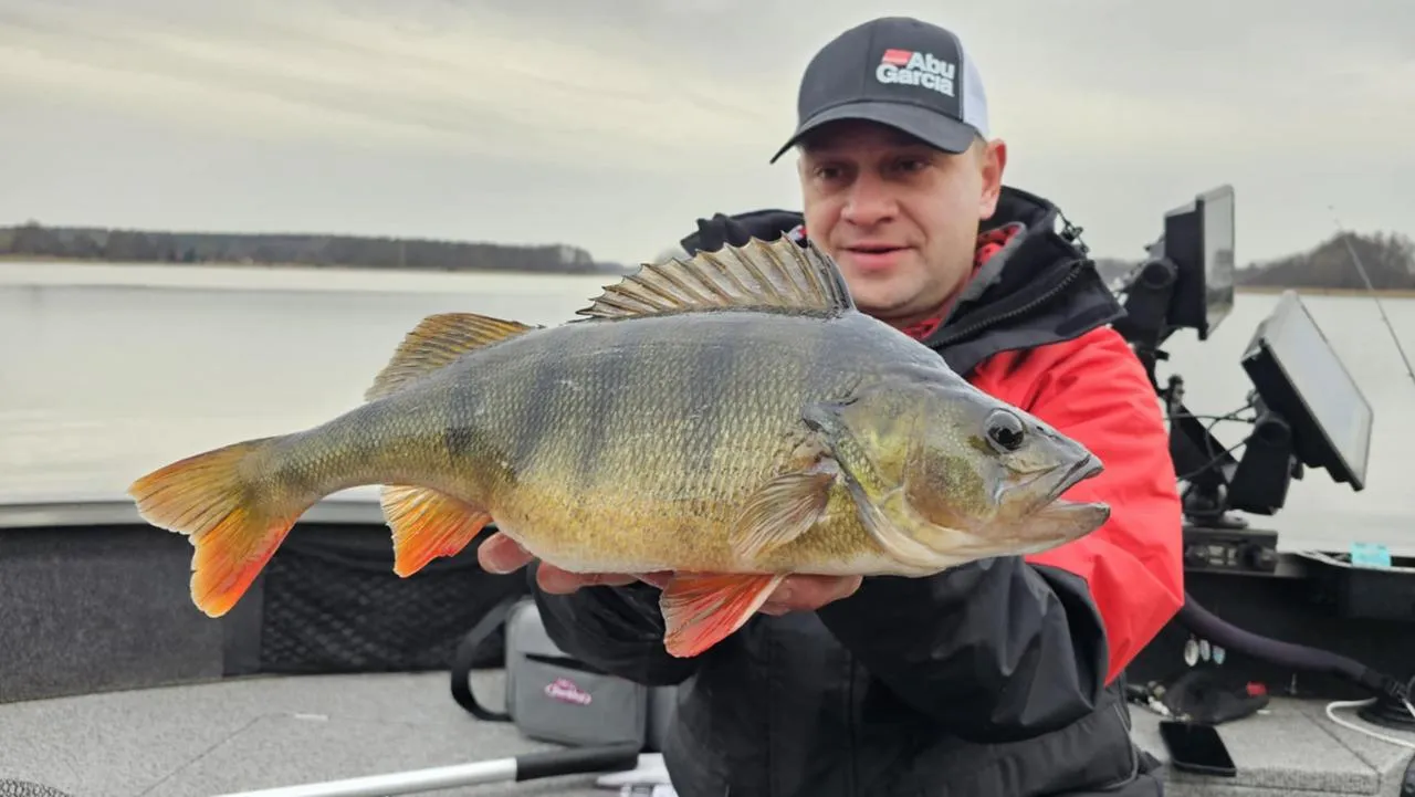 Jezioro Powidzkie gatunki ryb