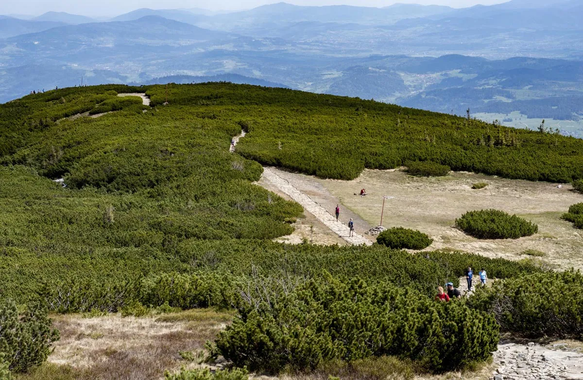 droga na Babią Górę samochodem malownicza trasa