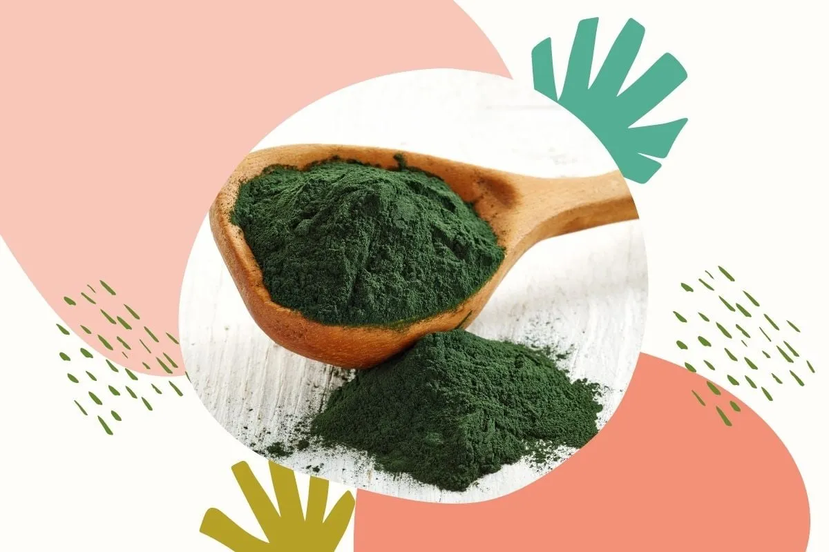 r&oacute;żne formy spiruliny proszek tabletki