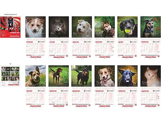 kalendarz promocji media markt