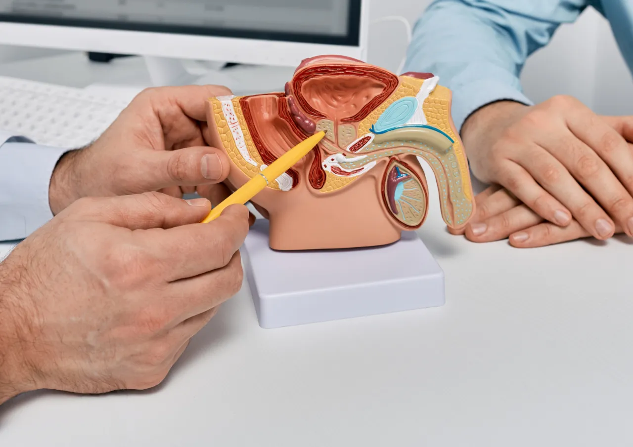 ultrasonografia transrektalna schemat