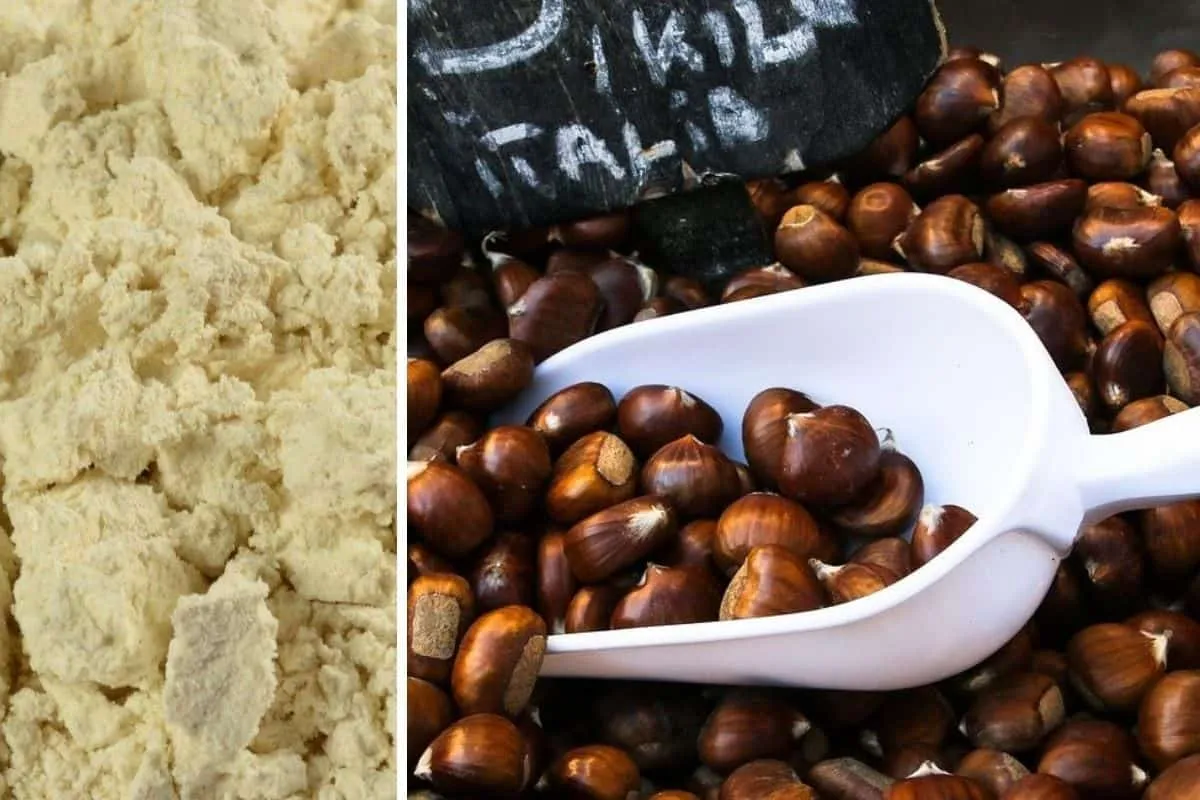 mąka kasztanowa smak profile