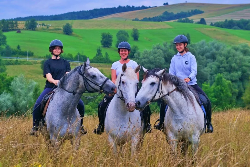 ośrodek jeździecki Pysznica Tara panorama