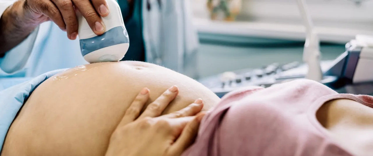 USG poł&oacute;wkowe pł&oacute;d narządy płciowe