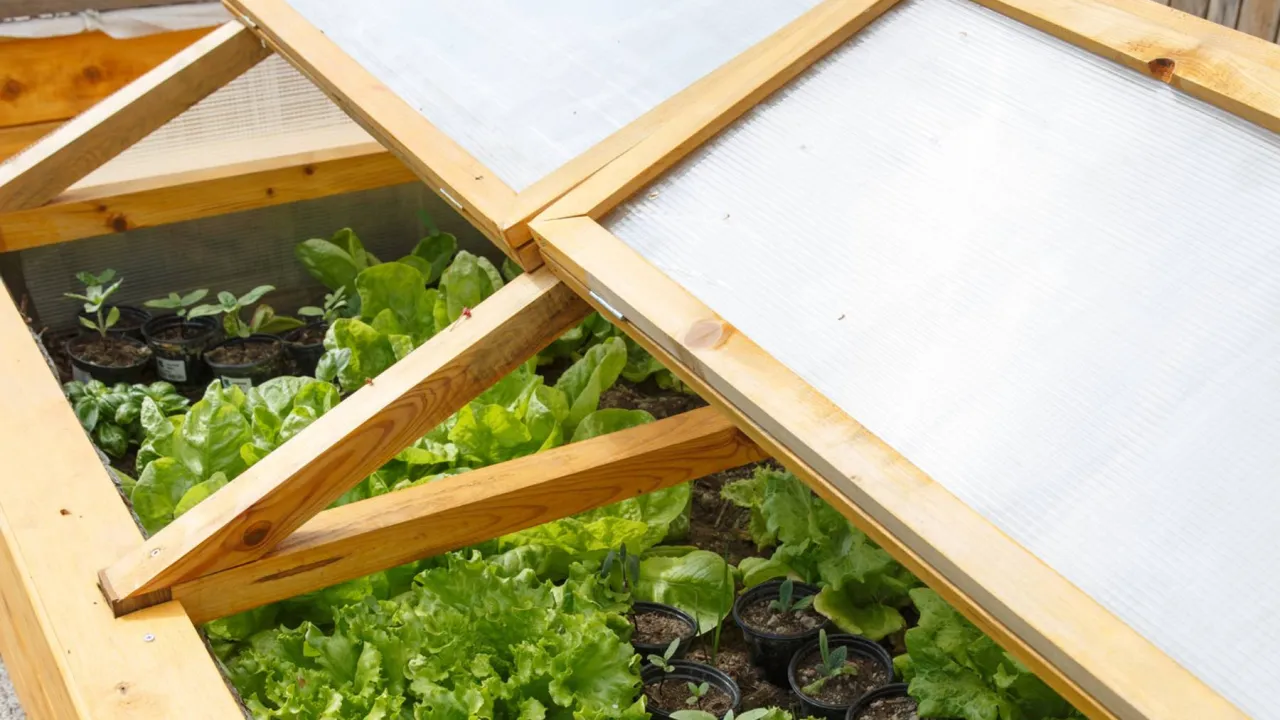 Planowanie budowy inspektu ogrodowego