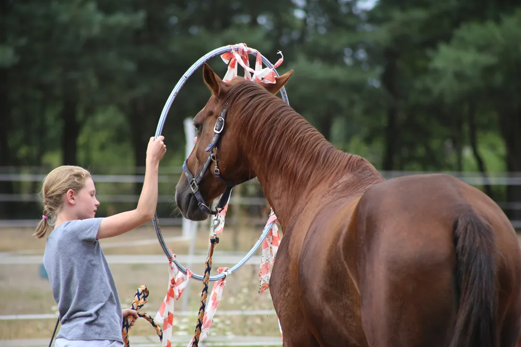 praca z ziemi koń kantar sznurkowy