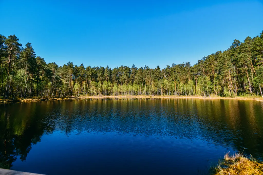 Polska przyroda park krajobrazowy