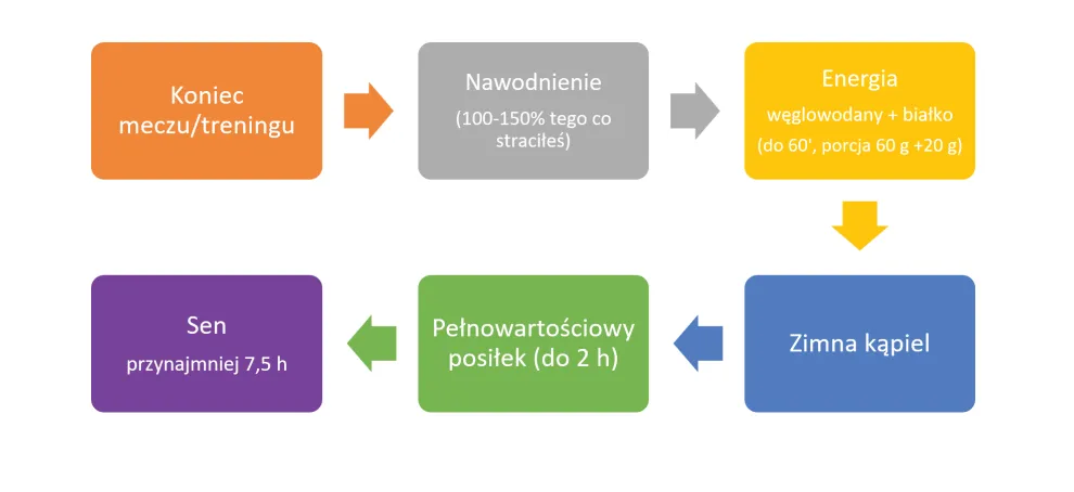 Znaczenie posiłku po treningu schemat regeneracji mięśni