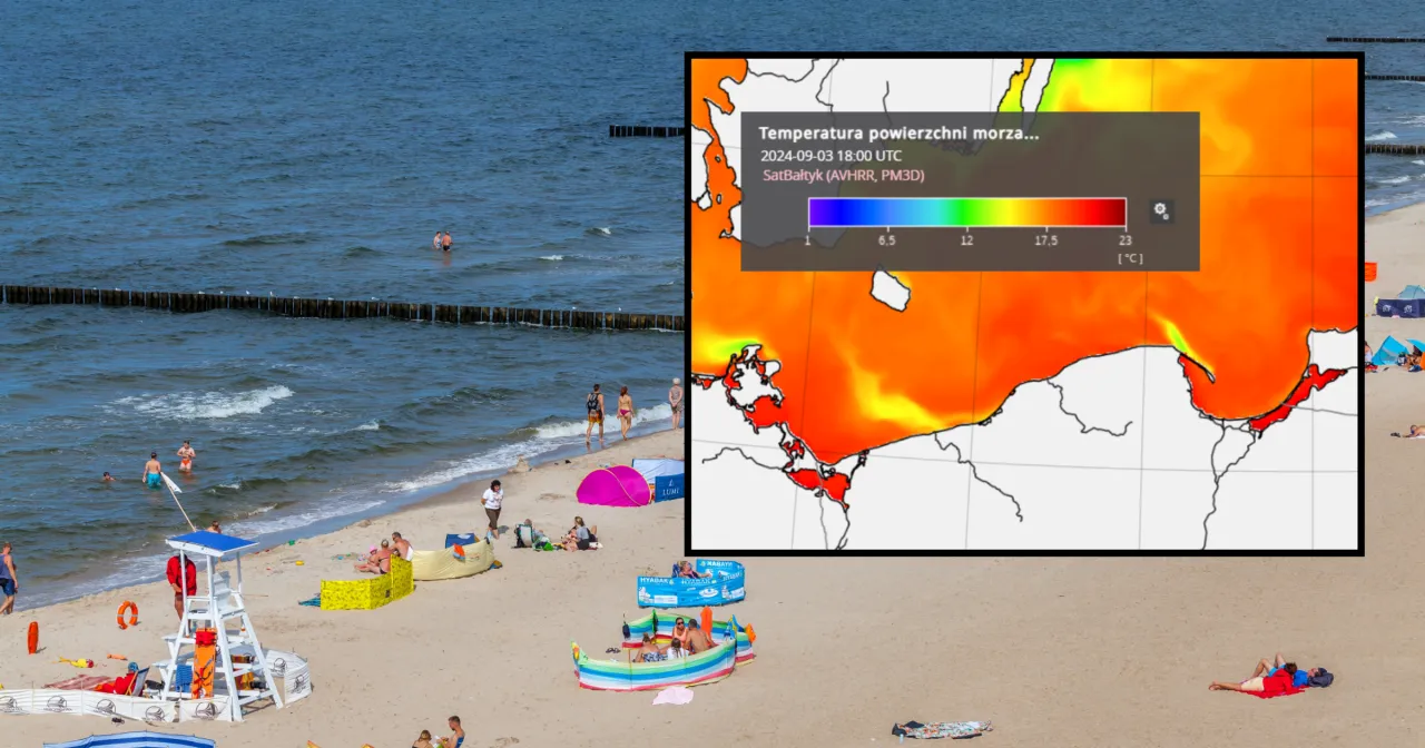 Mapa pokazuje, gdzie jest najcieplejsze morze w Polsce. Woda w Zatoce Gdańskiej jest najcieplejsza, osiągając 23°C.