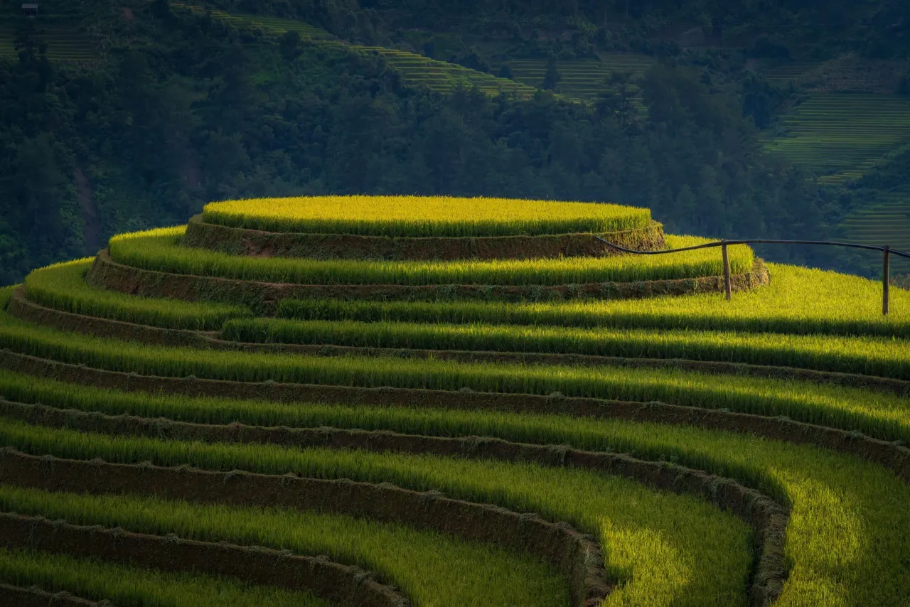 egzotyczna tania podróż Azja Południowo-Wschodnia Wietnam pola ryżowe