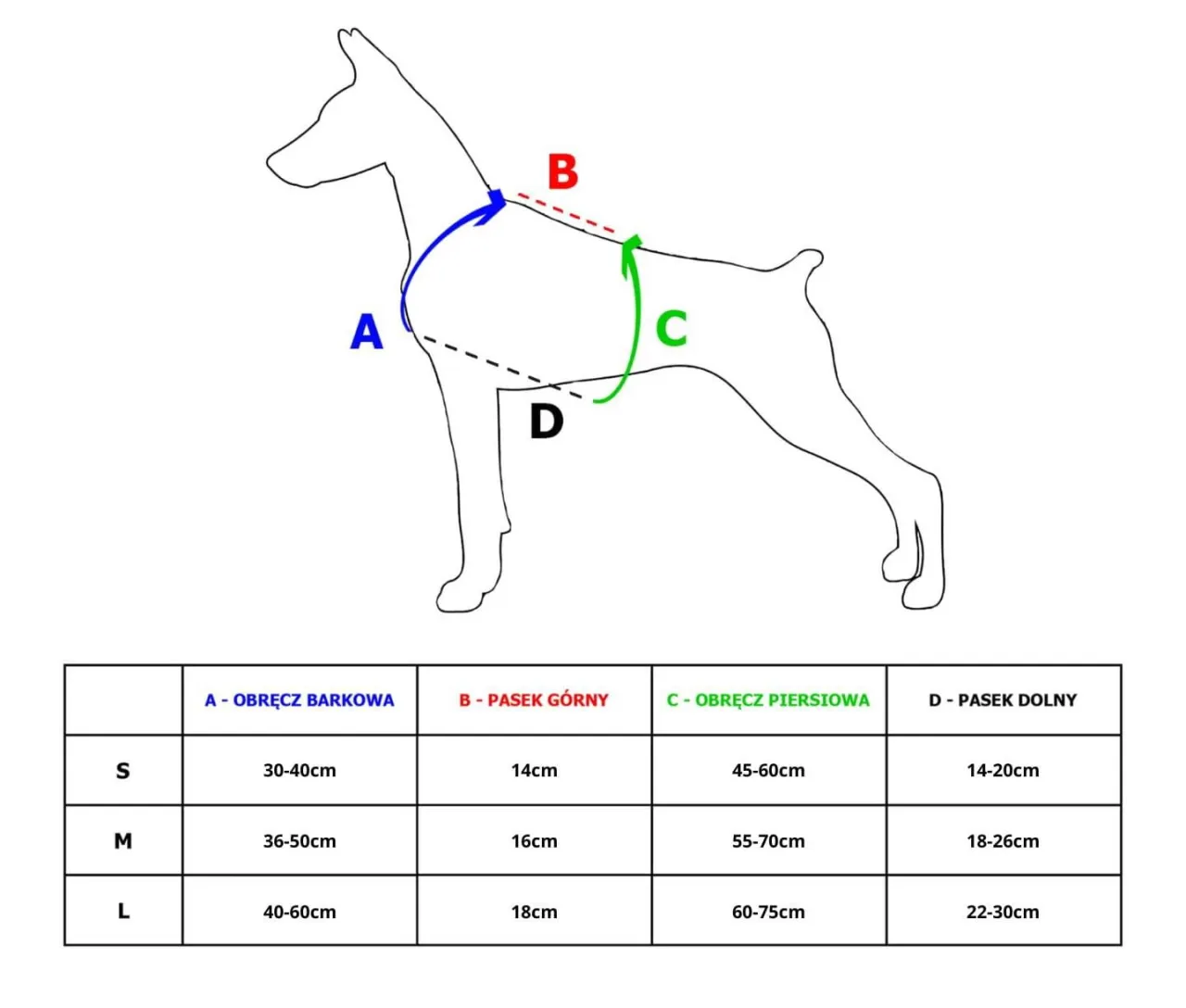 jak prawidłowo zmierzyć psa do szelek