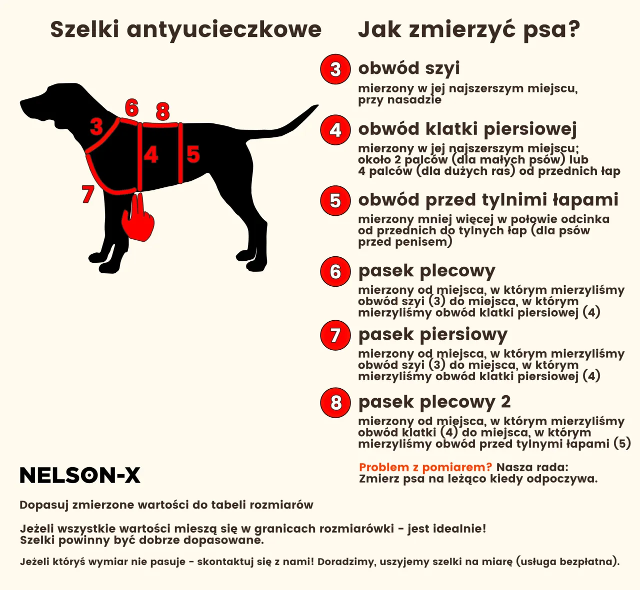 pies mierzenie szelek