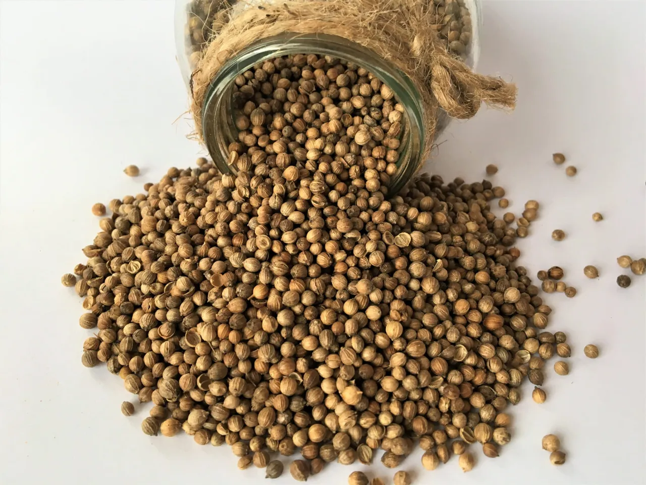 prażone nasiona kolendry