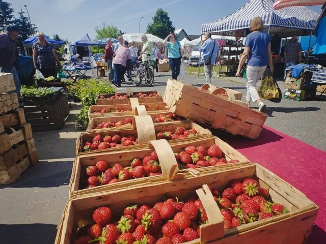 targowisko polskie truskawki czerwiec