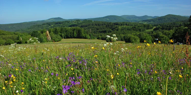 Schwarzer Berg Rh&ouml;n Panorama Jahreszeiten