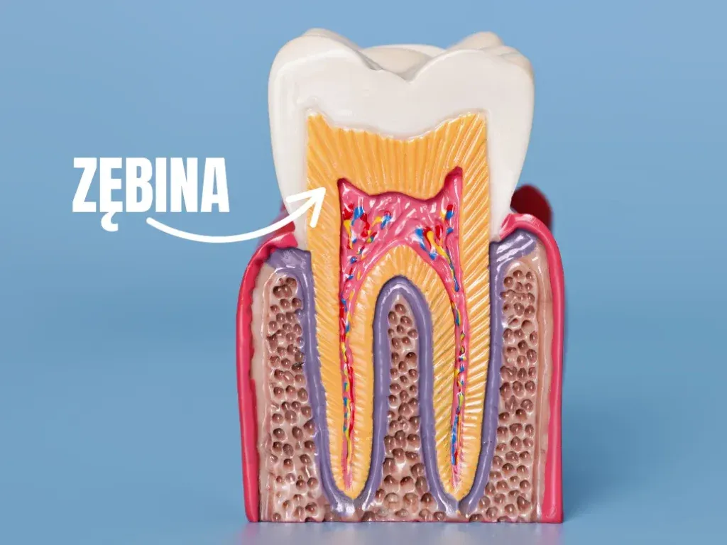 domowe sposoby na ból zęba infografika