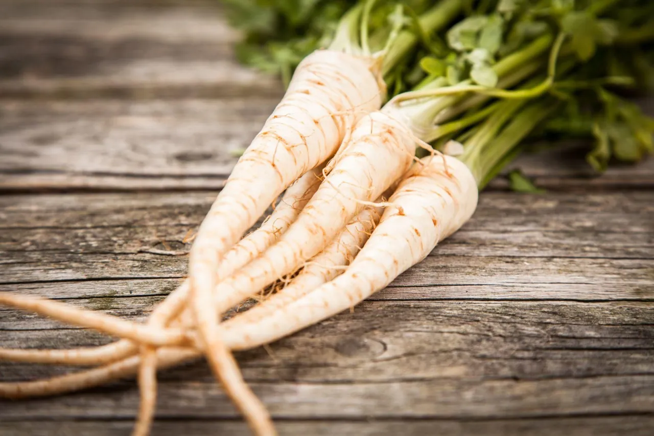 Kilka świeżych korzeni pietruszki z zielonymi liśćmi leży na drewnianym blacie.