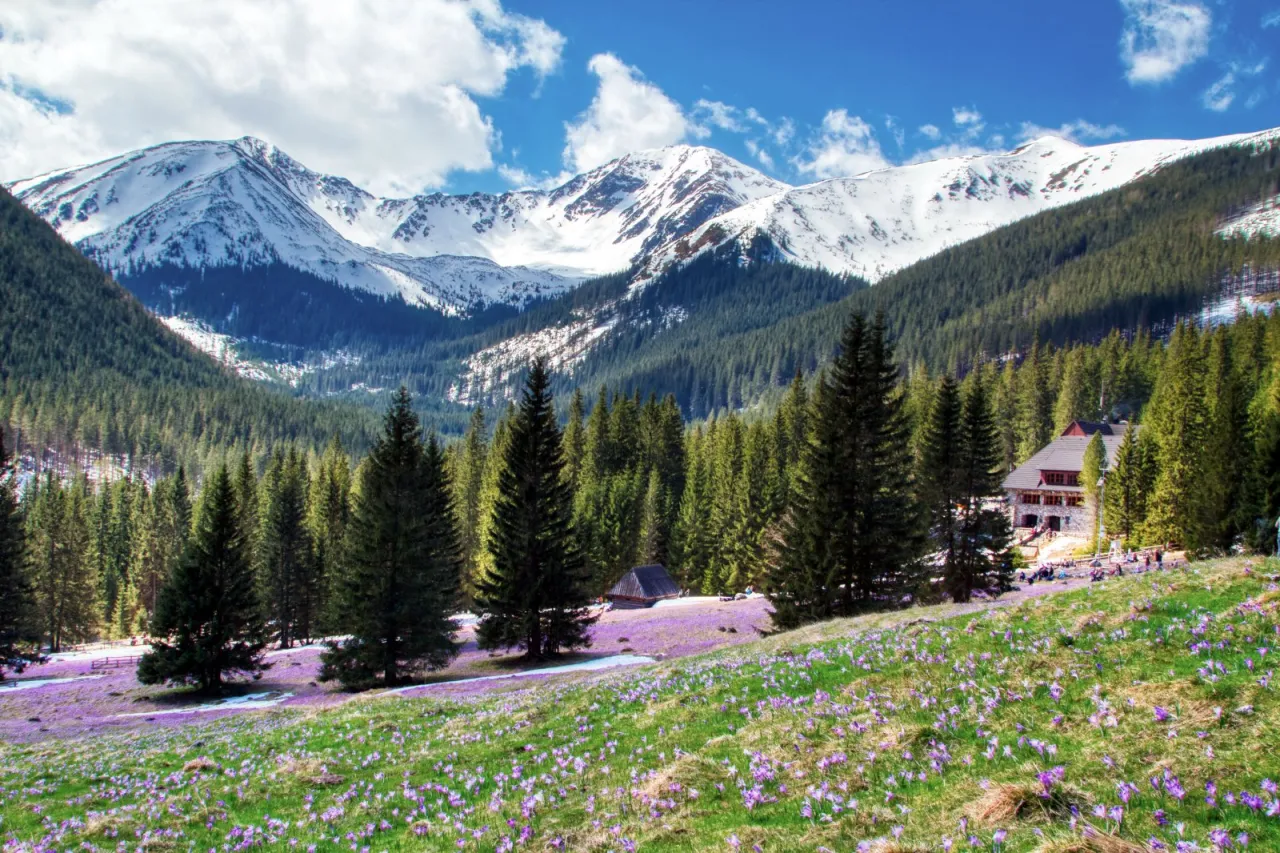 Dolina Kościeliska Chochołowska widoki Tatry