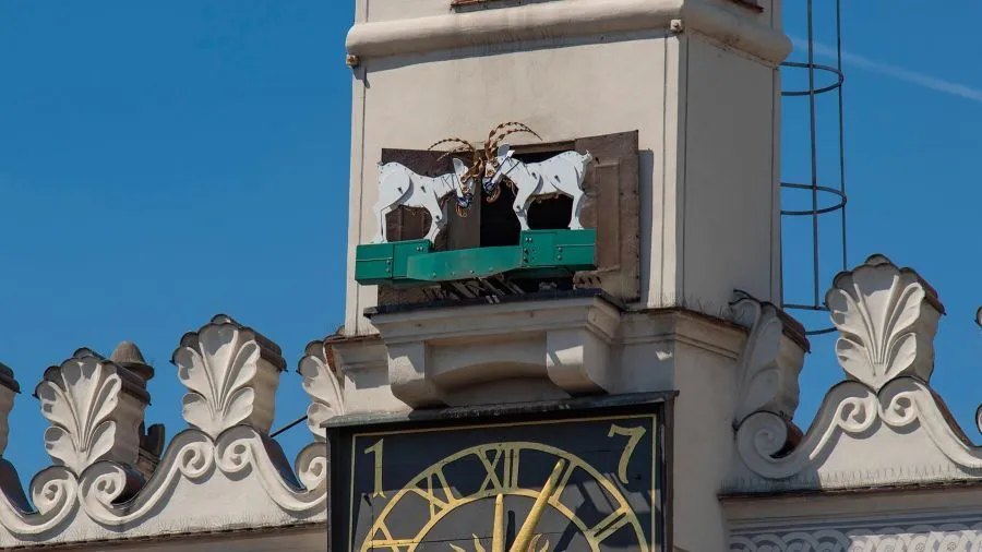 Poznańskie Koziołki na Ratuszu