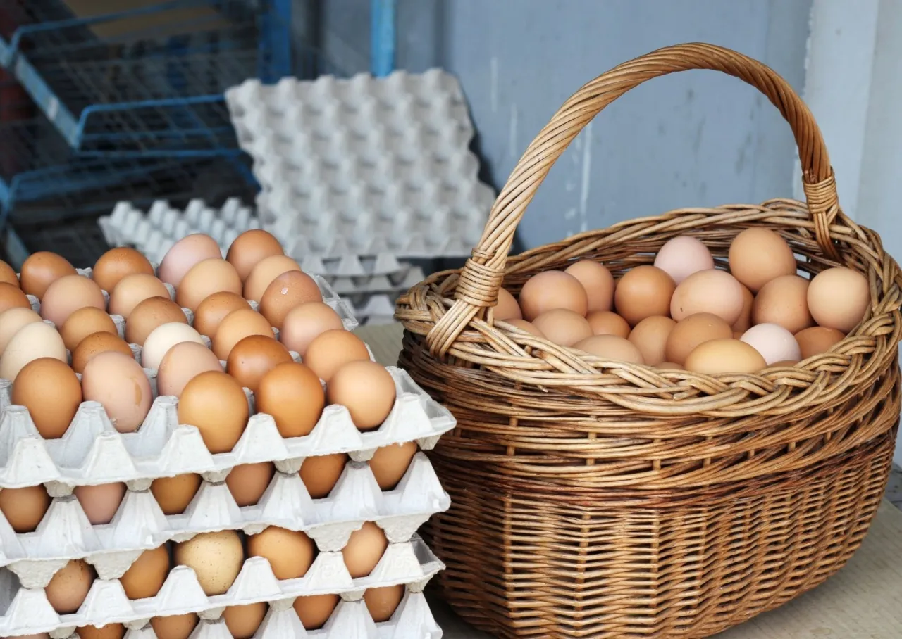 jajka wiejskie w koszyku na wsi