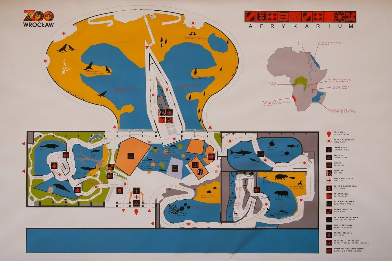 Kupowanie biletów online ZOO Wrocław