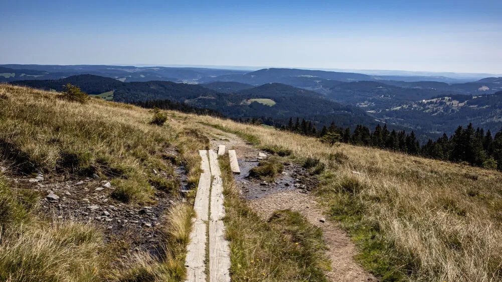 Panoramablick Feldberg Schwarzwald bei klarem Wetter