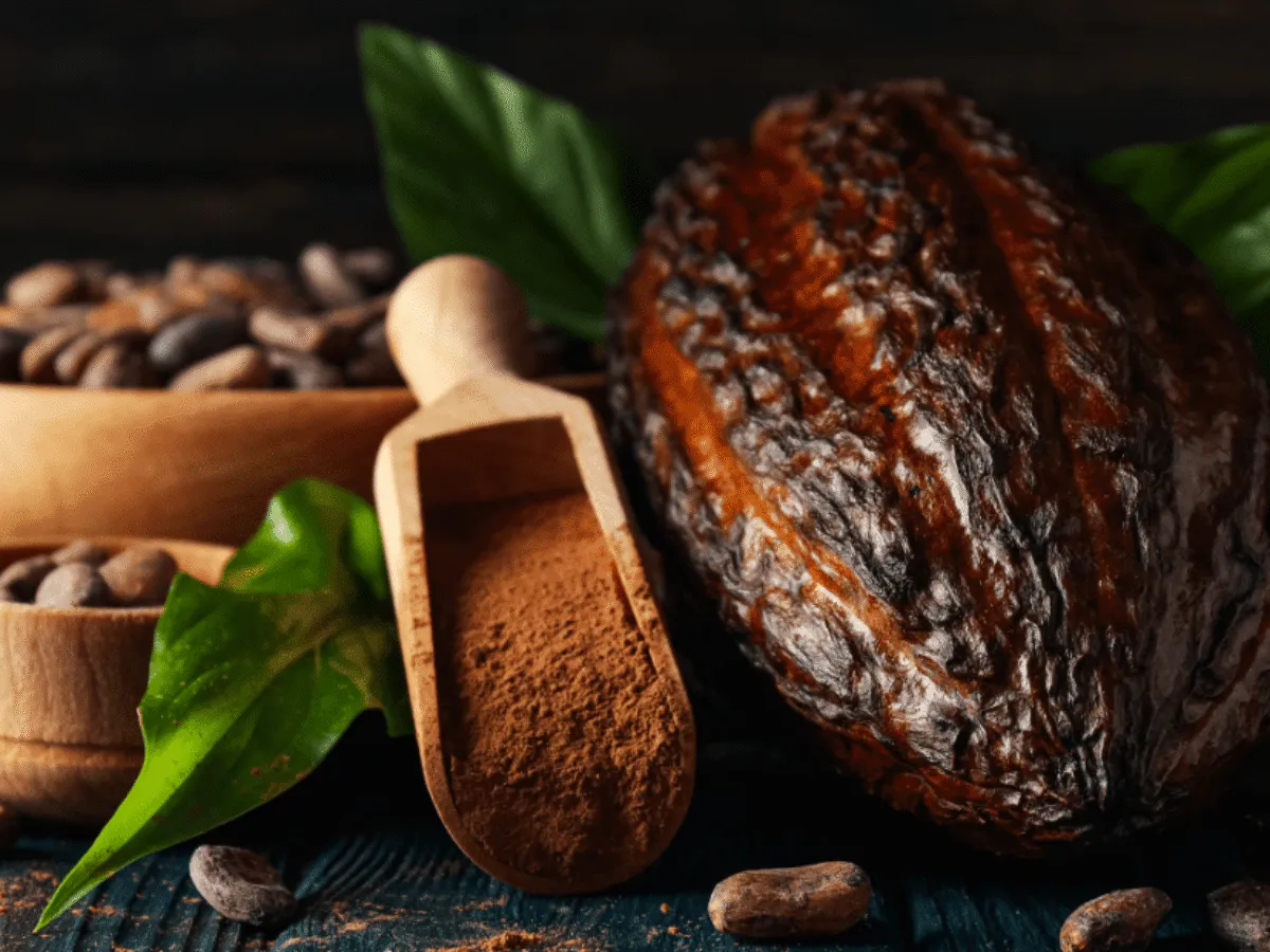 kakao naturalne vs alkalizowane w wypiekach