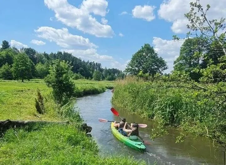 Spływ kajakowy rzeką Wieprz Roztocze krajobraz