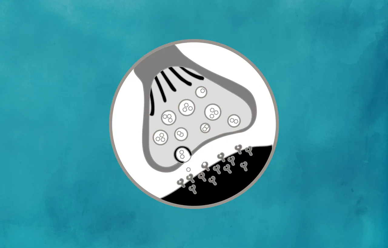 Ilustracja działania neuroprzekaźników w mózgu