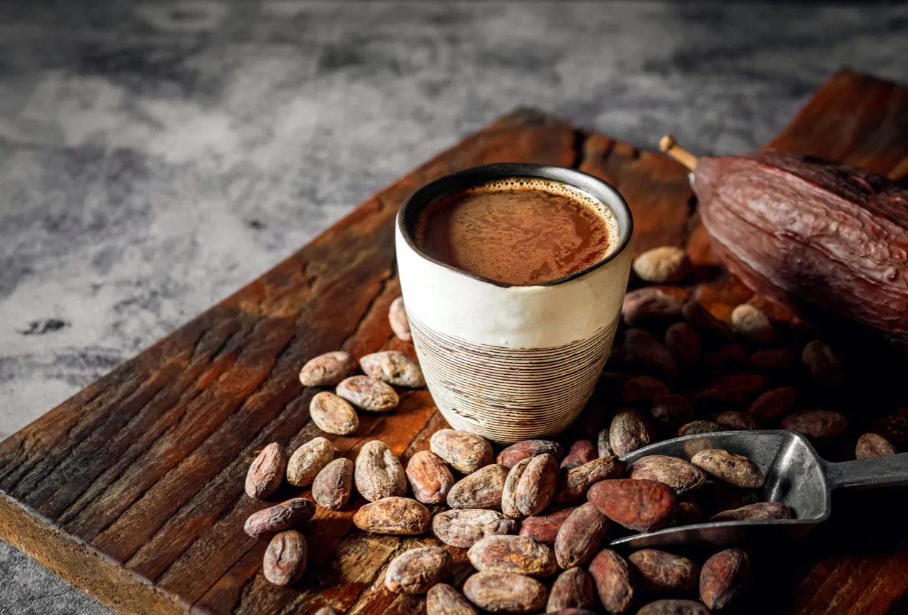 flawanole kakao mechanizm działania