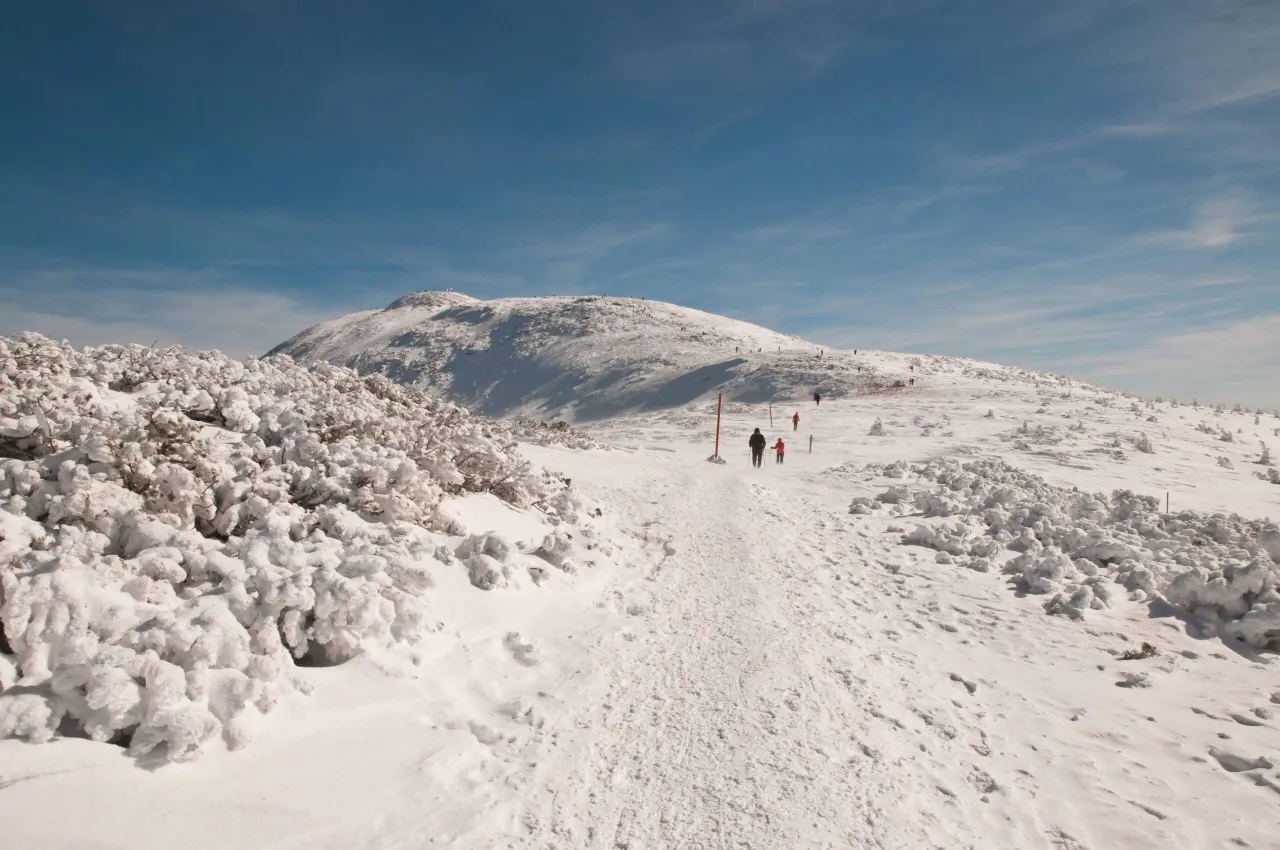 Schronisko PTTK Markowe Szczawiny Babia Góra
