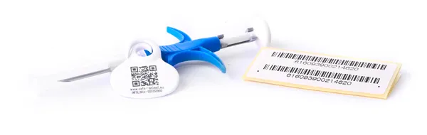 czipowanie konia mikroczip