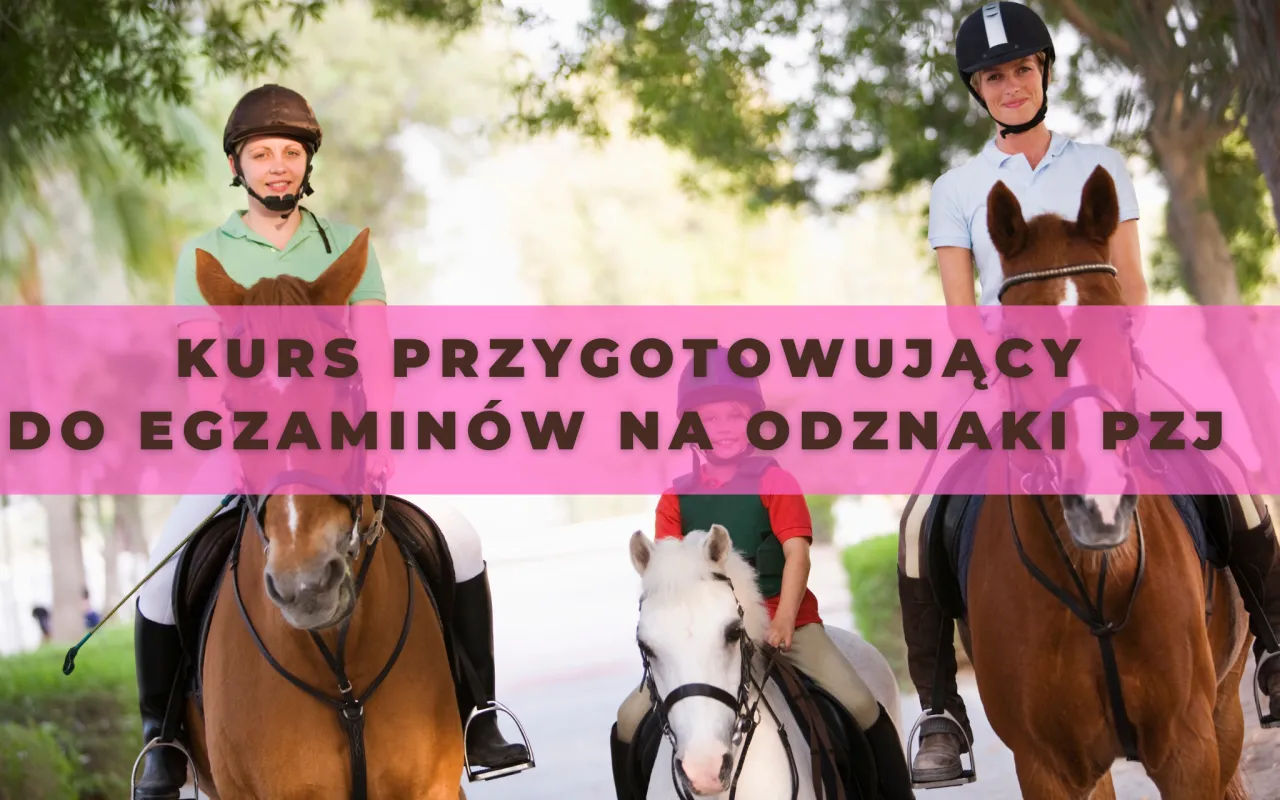 Przygotowania do egzaminu jeździeckiego