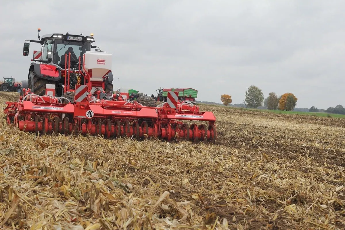 Płodozmian kukurydza