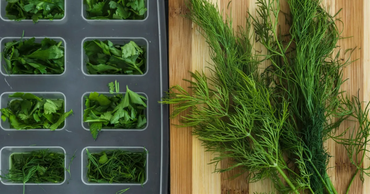 świeży koperek i śmietana