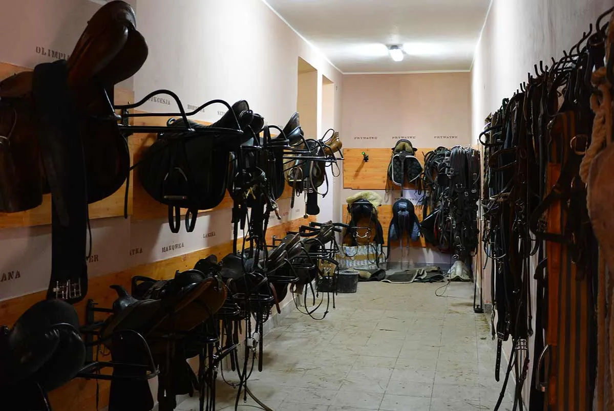 Pielęgnacja sprzętu jeździeckiego Fouganza