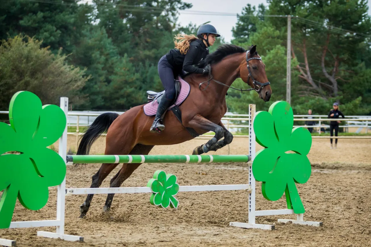 Osoba głaszcząca konia z zaufaniem