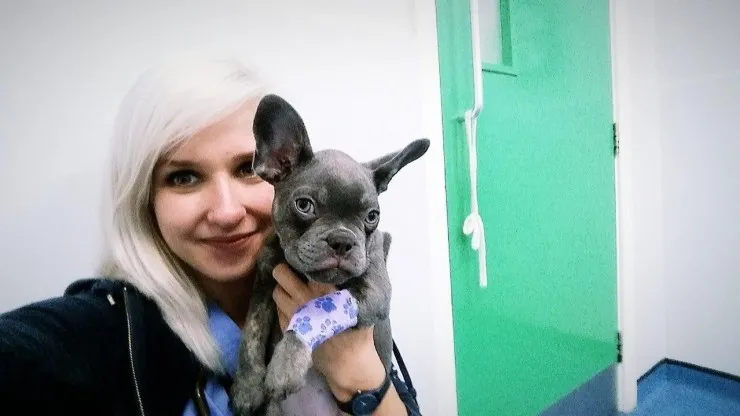 Weterynarz w Anglii praca zarobki