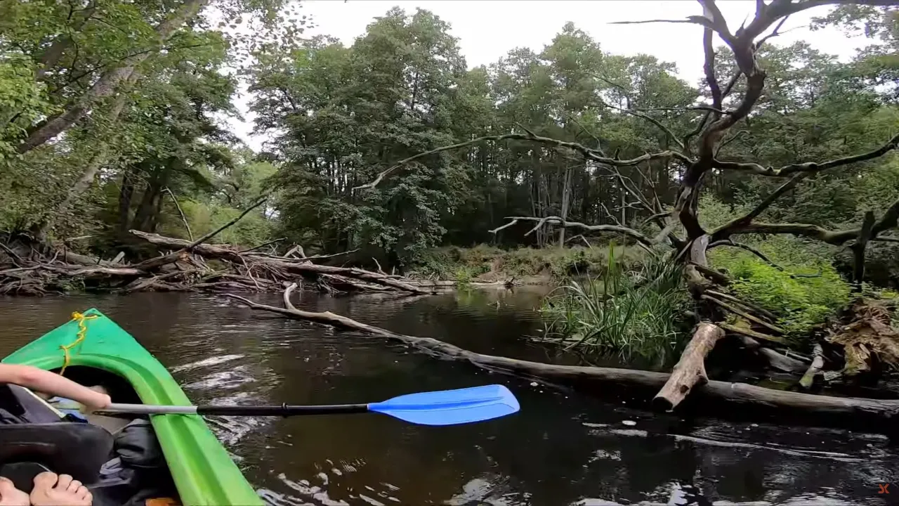 Spływ kajakowy rzeka Obra Międzyrzecz