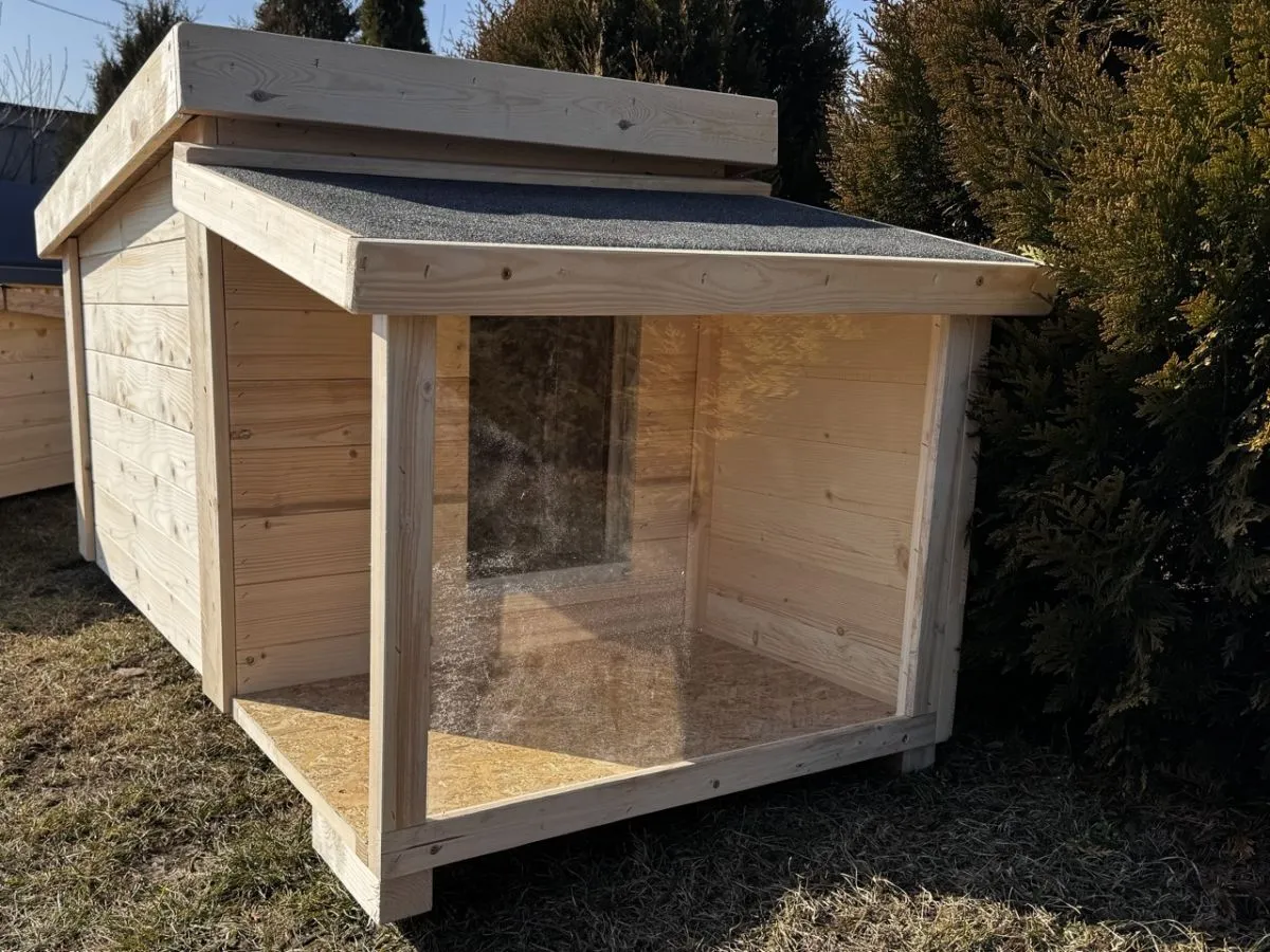 Zadowolony pies w budzie DIY