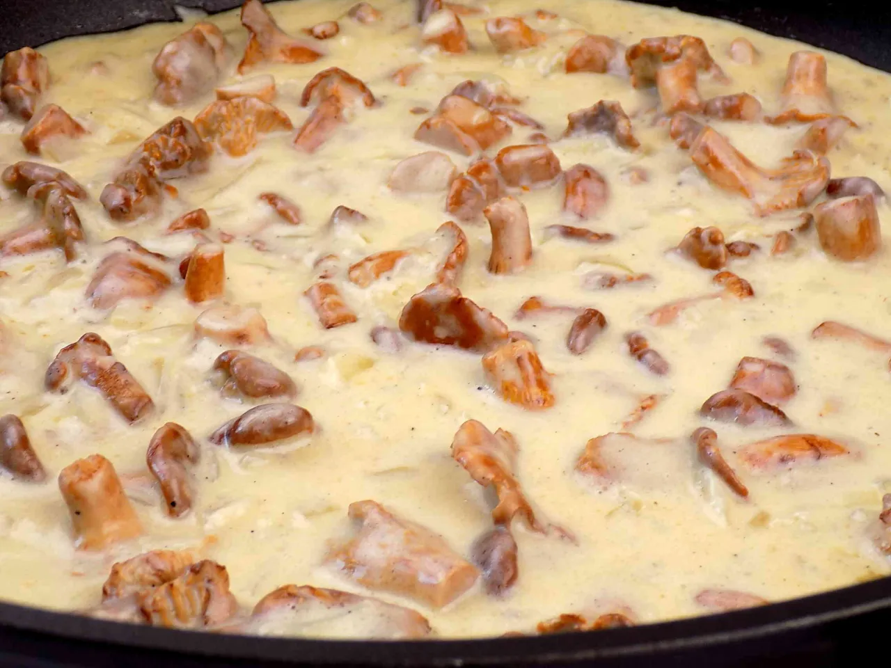 Jak zrobić sos z kurek w śmietanie: kurki duszone w kremowym sosie, gotowe do podania.