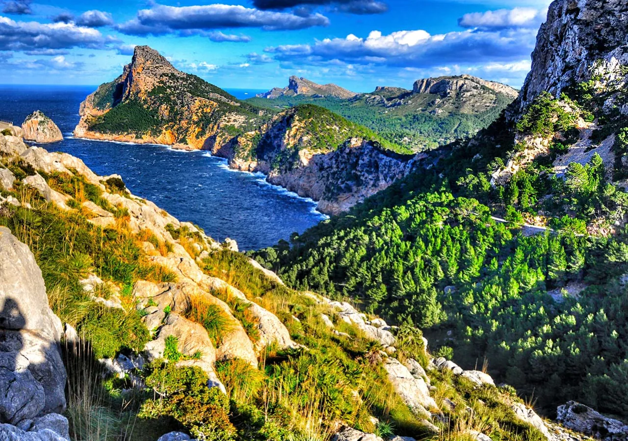 Majorka: malownicze wybrzeże z klifami i lasem sosnowym. Idealne miejsce na nocleg i podziwianie widok&oacute;w.