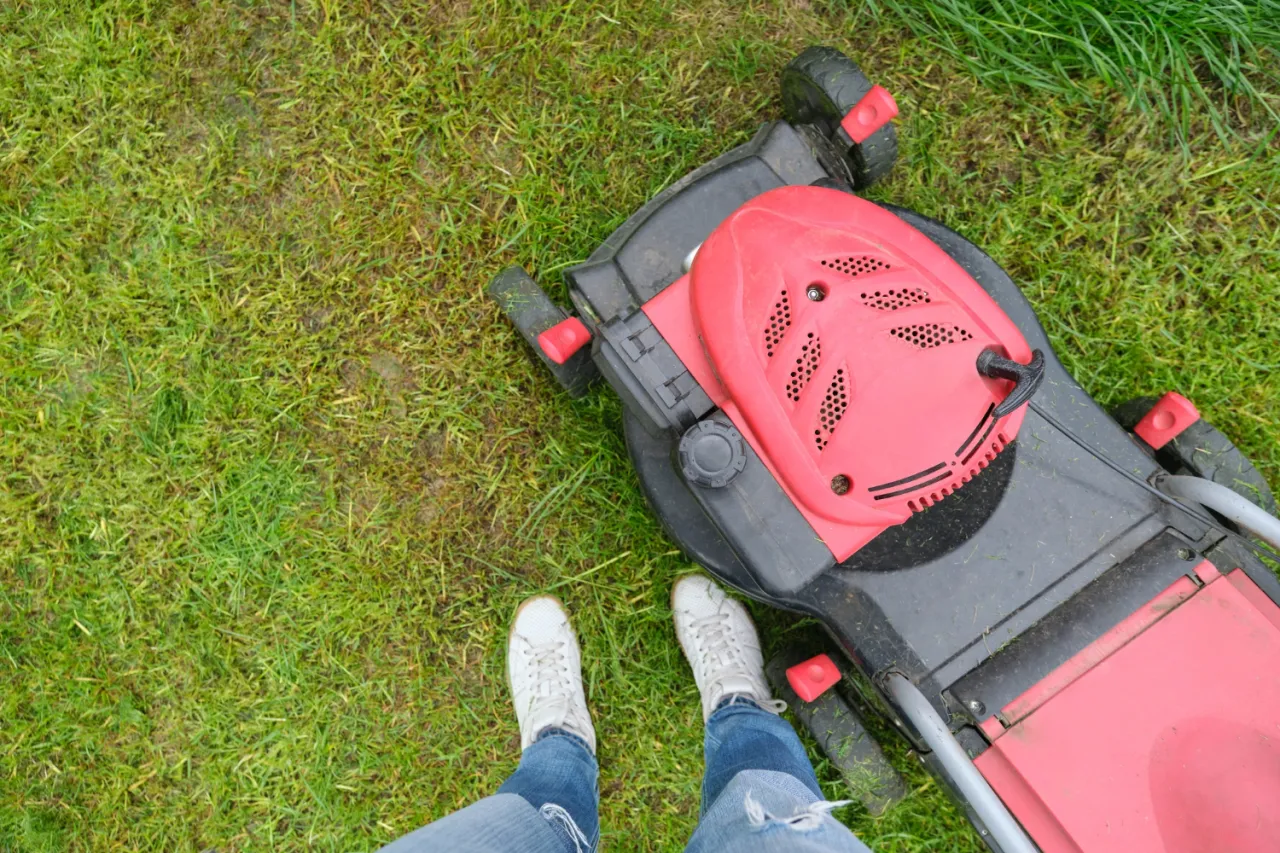 czyszczenie filtra powietrza kosiarki