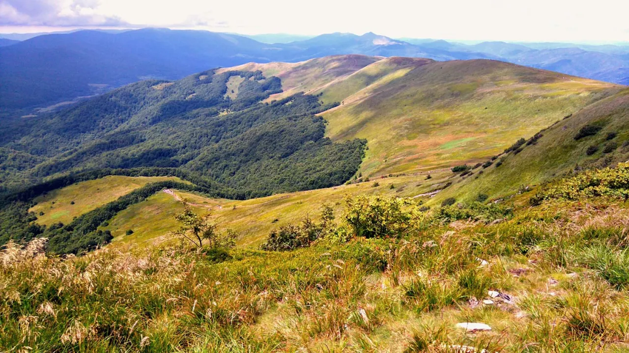 Bieszczady widok na Tarnicę