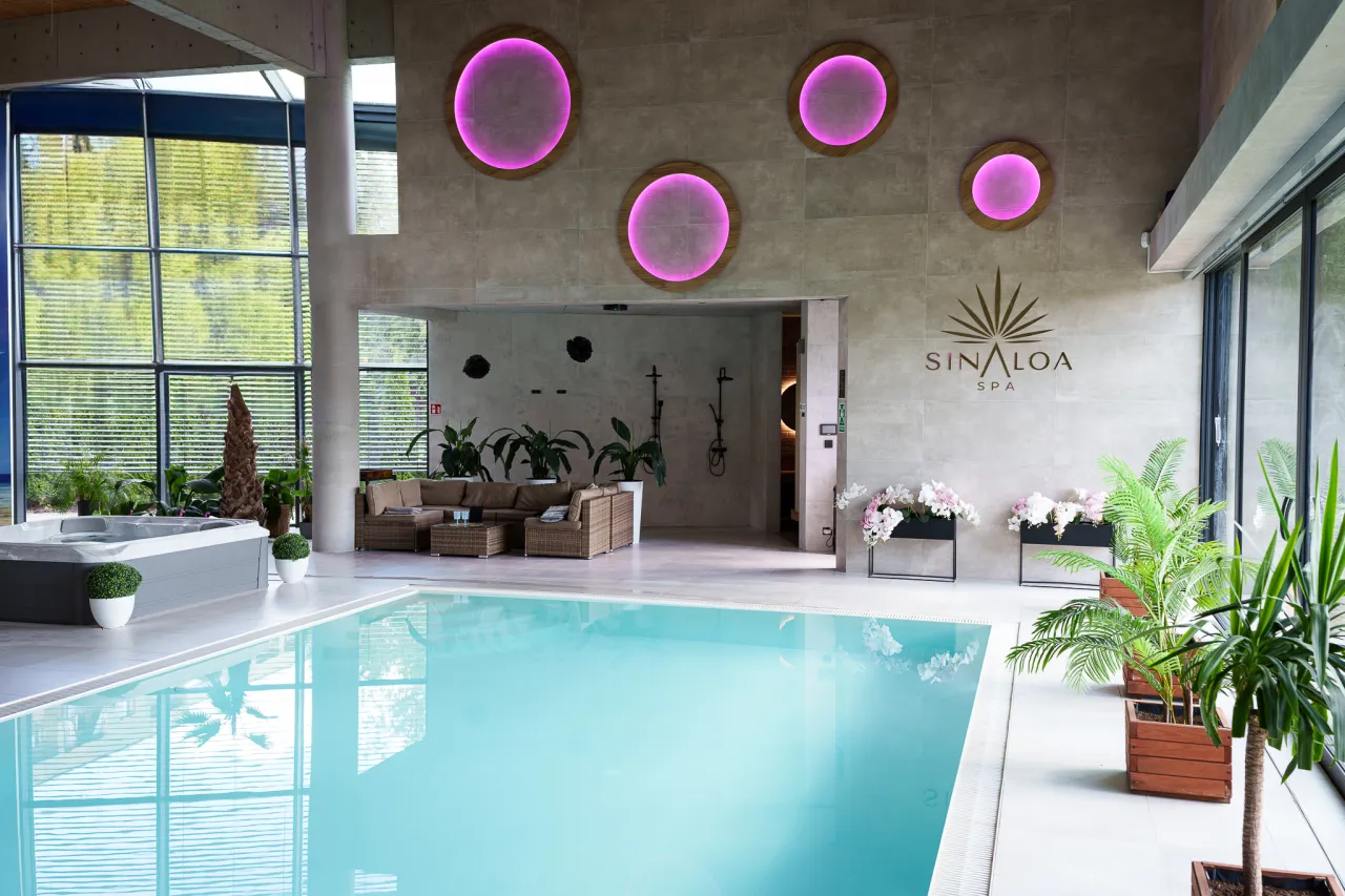 Nowoczesny spa na Śląsku z basenem, jacuzzi i strefą relaksu. Wnętrze rozświetlają okrągłe lampy i zieleń roślin.