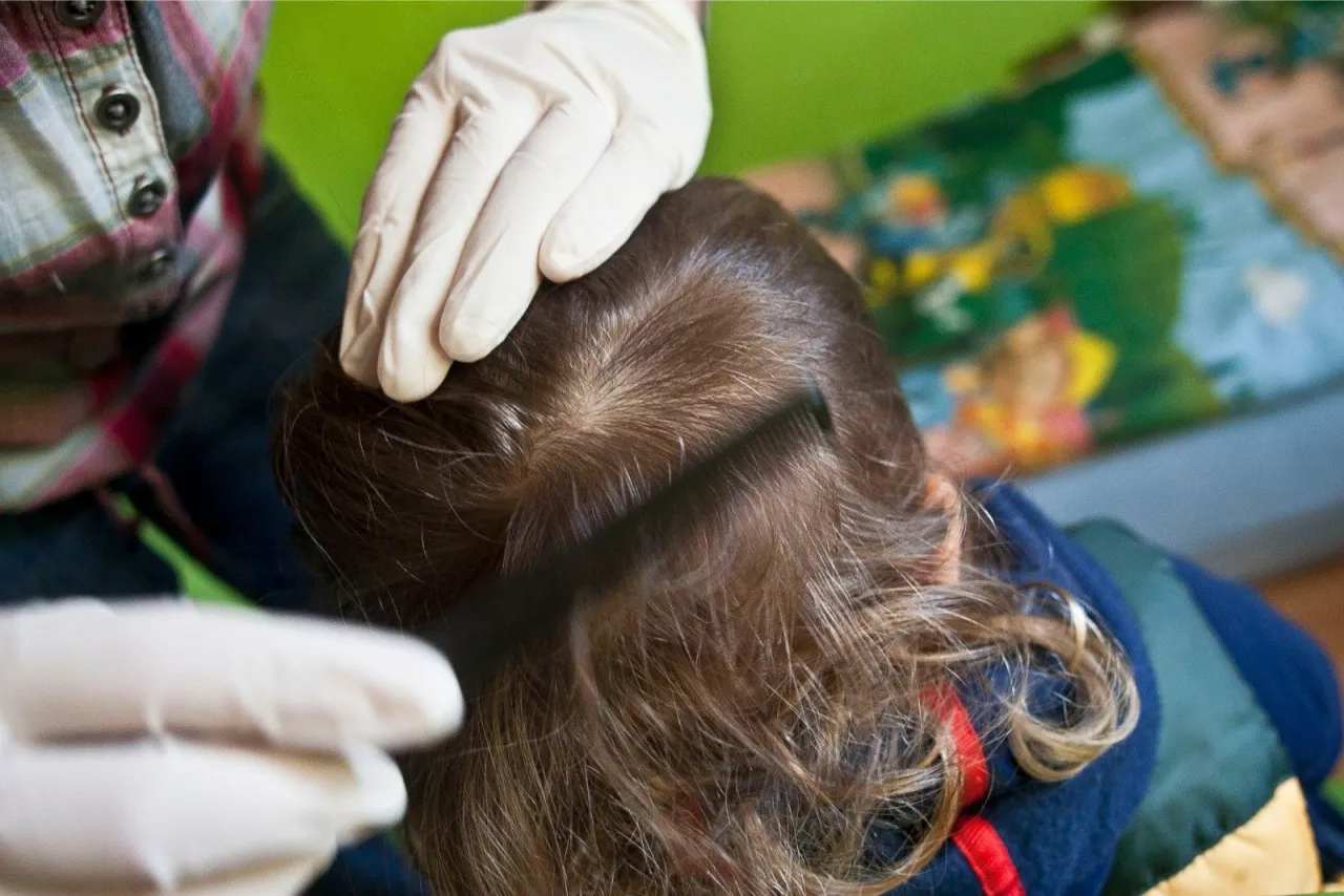dziecko z wszawicą rodzic sprawdza włosy
